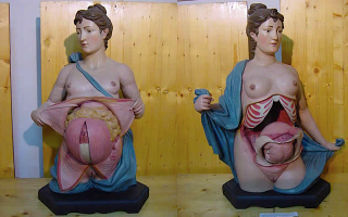 Illustration for article titled Creepy wax anatomy models from the 1700-1800s. Apologies if you planned on sleeping tonight.